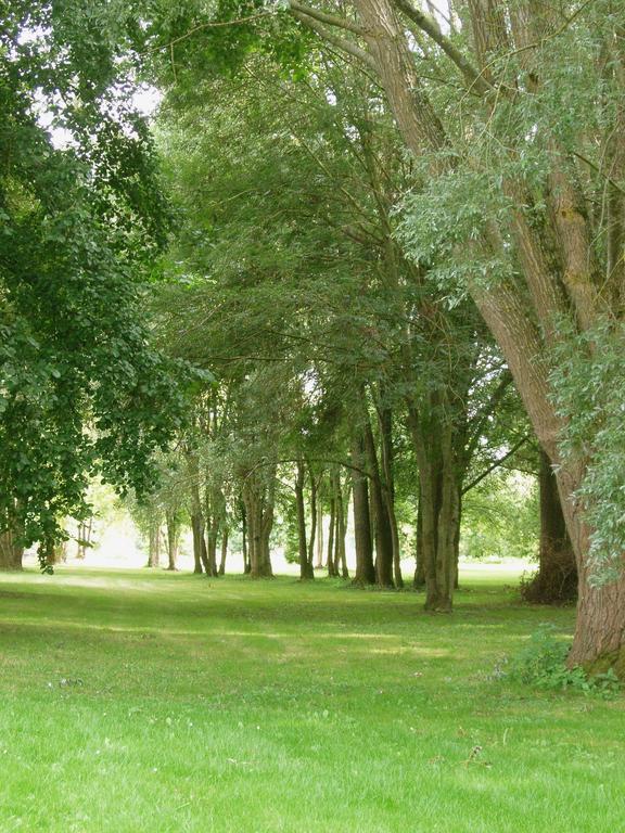 Chambre D'Hote Moulin De L'Aumonier Beaulieu-les-Loches Екстер'єр фото